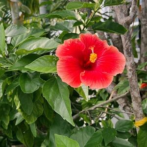 Meet your Posher, Meghan